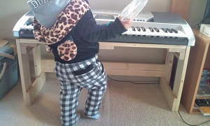 DIY������L�A�d�q�s�A�m��