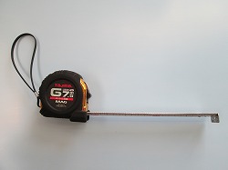 ���W���[