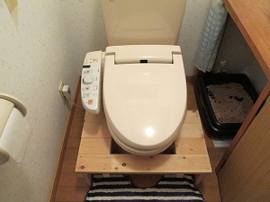 DIY������L